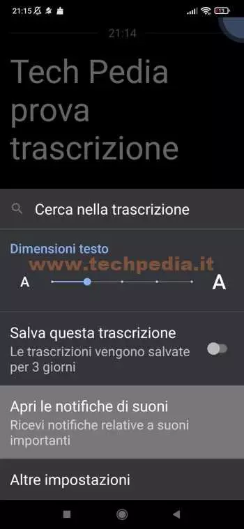 trascrizione automatica google 034