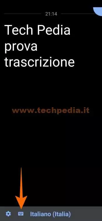trascrizione automatica google 046