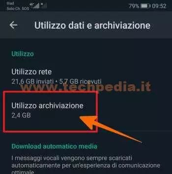 whatsapp pulizia memoria selettiva 016