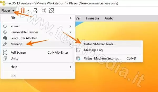 installare macos ventura pc windows vmware 192