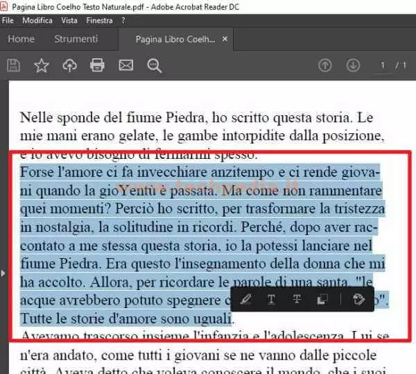 copiare testo da pdf 022