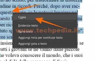 copiare testo da pdf 025