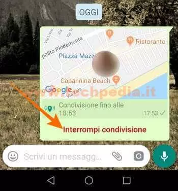 spostamenti tempo reale whatsapp 019