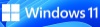 Windows11 100