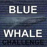 blue whale LOGO