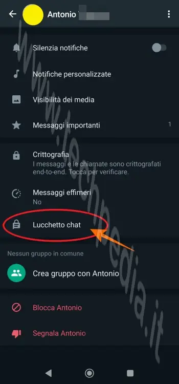 whatsapp nascondere chat 016