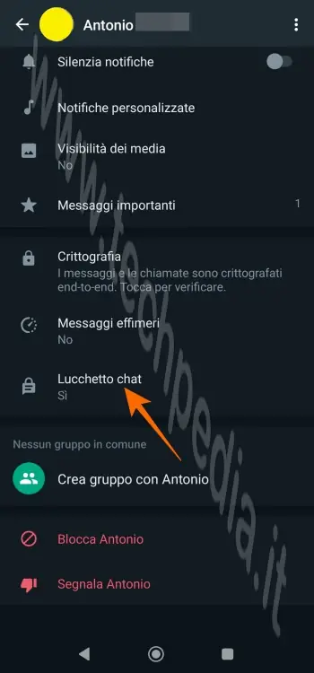 whatsapp nascondere chat 043