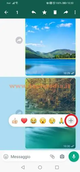 whatsapp reazione messaggi emoji 013