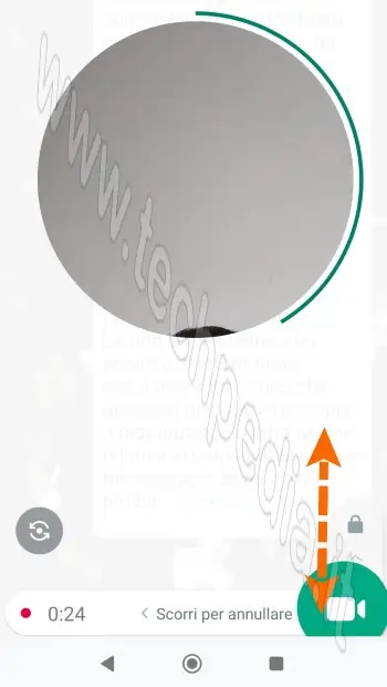 whatsapp videomessaggi istantanei 022