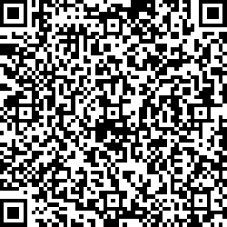 QR code articolo