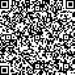QR code articolo