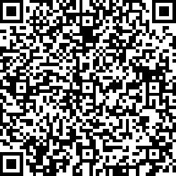 QR code articolo