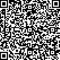 QR code articolo