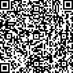 QR code articolo