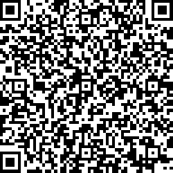 QR code articolo