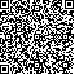 QR code articolo