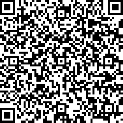 QR code articolo