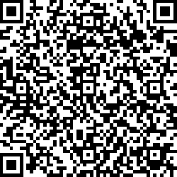 QR code articolo