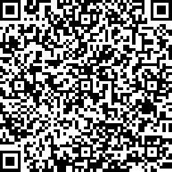 QR code articolo