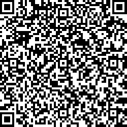 QR code articolo