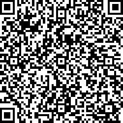 QR code articolo