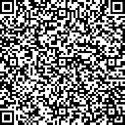 QR code articolo