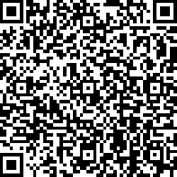 QR code articolo