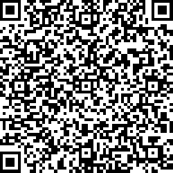 QR code articolo