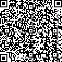 QR code articolo