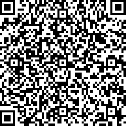 QR code articolo