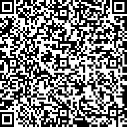 QR code articolo