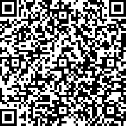 QR code articolo