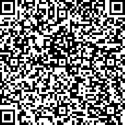 QR code articolo