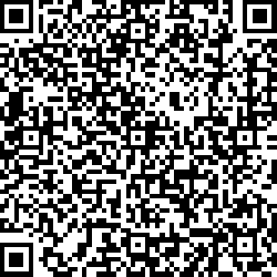 QR code articolo