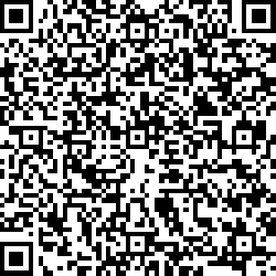 QR code articolo