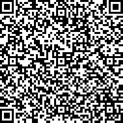 QR code articolo