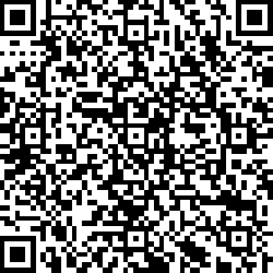 QR code articolo