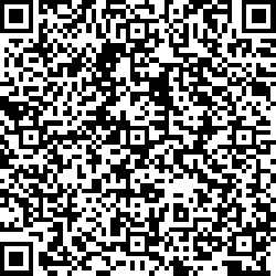 QR code articolo