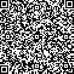 QR code articolo