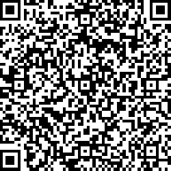 QR code articolo