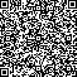 QR code articolo