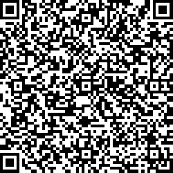 QR code articolo