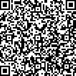 QR code articolo
