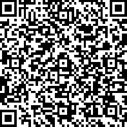 QR code articolo