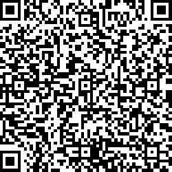QR code articolo