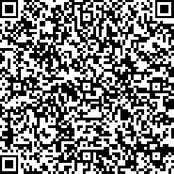 QR code articolo