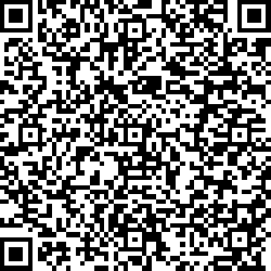 QR code articolo