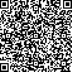 QR code articolo