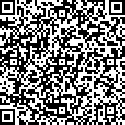 QR code articolo