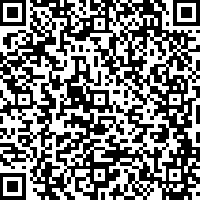 QR code articolo
